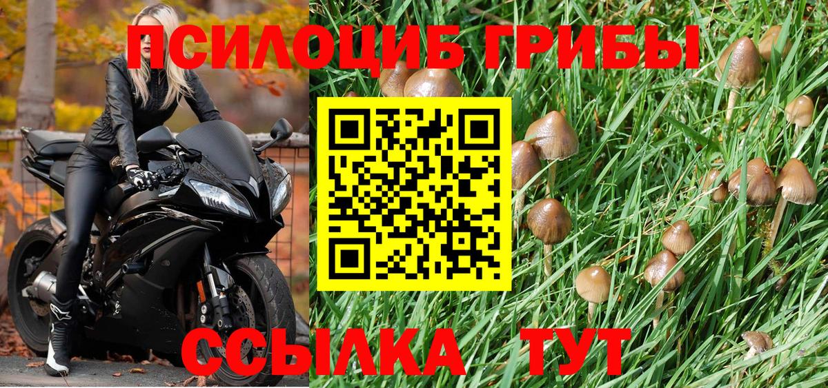 Галлюциногенные грибы MAGIC MUSHROOMS  Вход с VPN  Абакан 