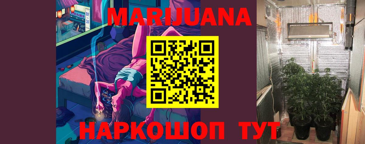 Бошки марихуана ГИДРОПОН  Шишки марихуана White Widow  Каннабис планчик  Вход с VPN  Канабис White Widow  Абакан 
